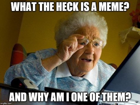 Memes, an Examination