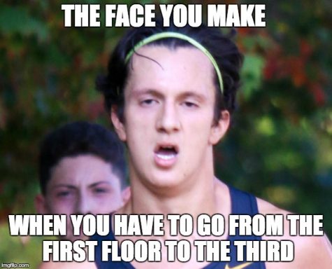 Meme Contest