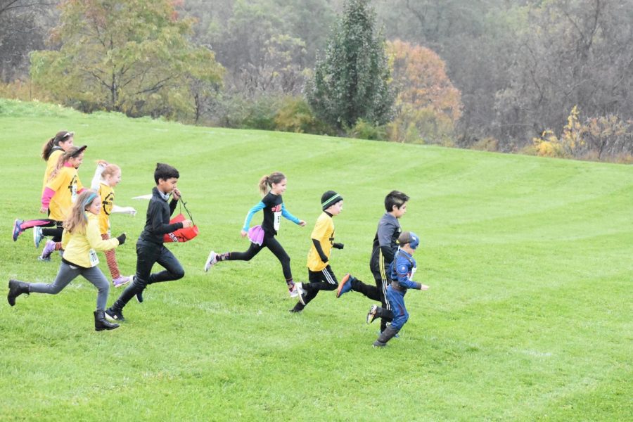 The annual Trick or Trot Run took place on Saturday, October 27th, on the Marshall Campus. The event, which reached its registration limit of 450 runners, was organized by the North Allegheny Foundation. 
