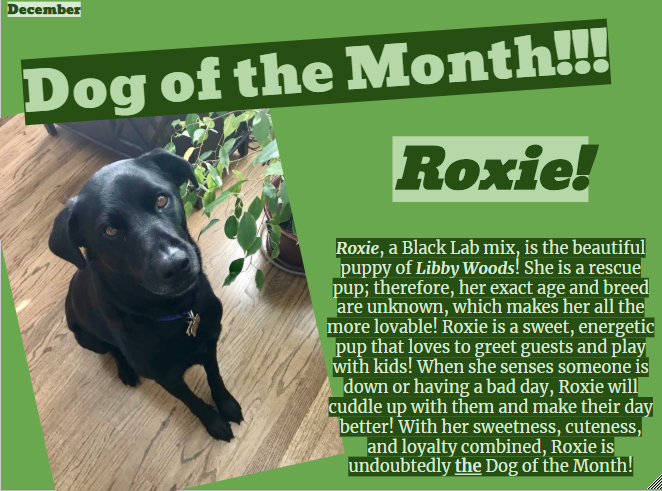 Dog of the Month ~ December