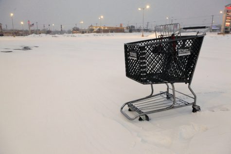 Shop Till You Drop
