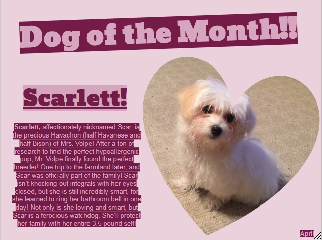 Dog+of+the+Month+%7E+April