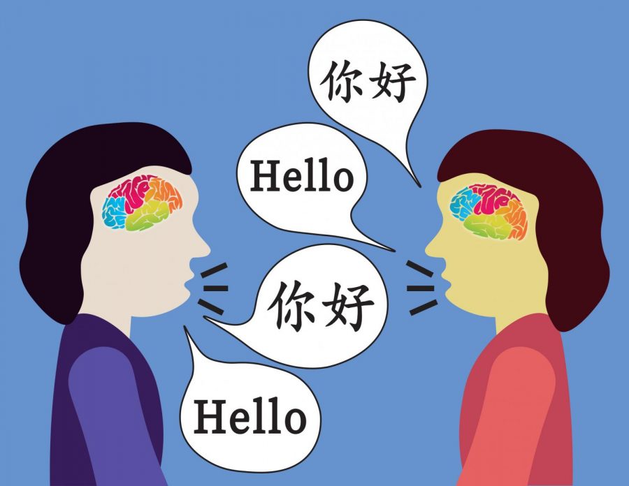 In a country where most are fluent in only one language, being bilingual can be an adventure.