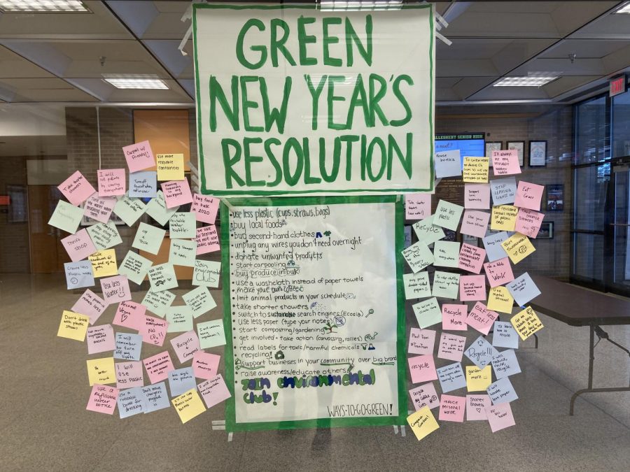 Going+Green+For+the+New+Year