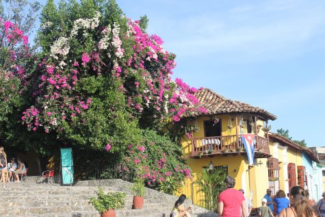 So Close and Yet So Far: A Trip to Cuba