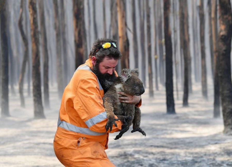 Australias Bushfires