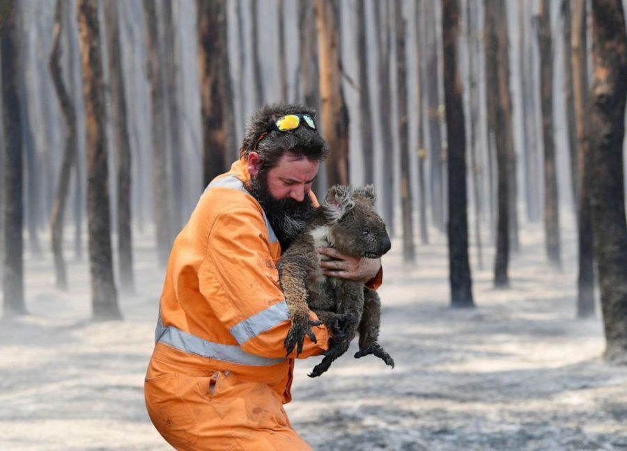 Australias+Bushfires