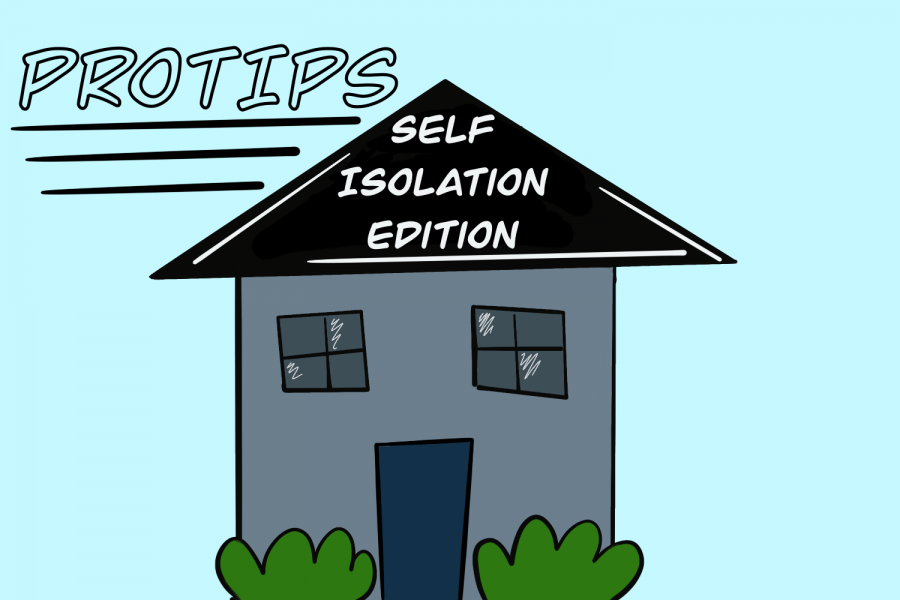 ProTips: Self-Isolation Edition