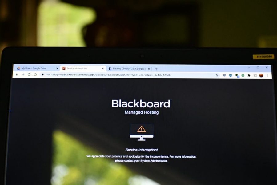 For many students, finishing schoolwork during last weeks Blackboard outage was nearly impossible 