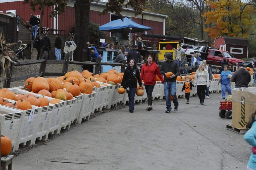 Visiting either Shenot’s or Soergel Orchards pumpkin patches are a staple event for the fall season.
