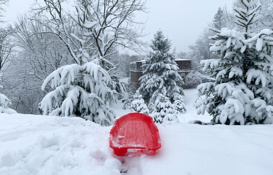 Sled riding is an essential part of a good snow day.