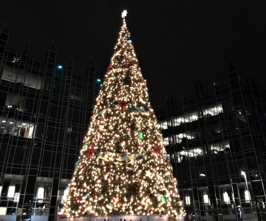 Seeing the large, lit-up tree at the PPG Rink is on many Pittsburghers holiday bucket lists.