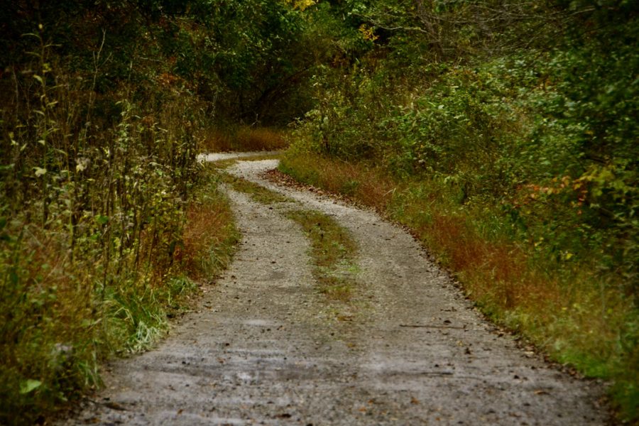 The supposedly haunted Blue Mist Road twists into the woods, full of mystery and unease. 