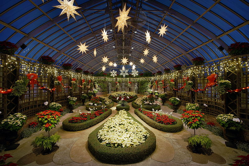 The Broderie Room at Phipps Conservatory dazzles during the annual Winter Flower Show.