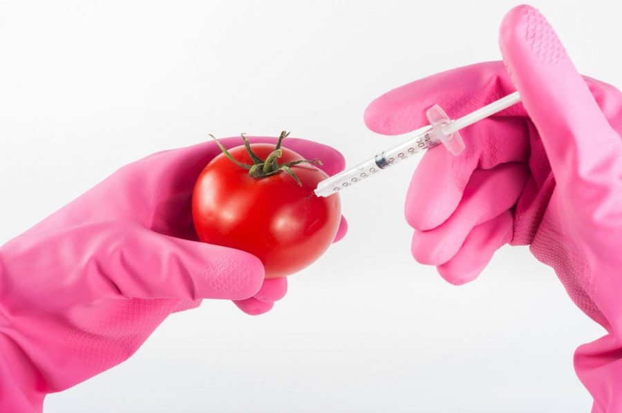 There is a lot of misinformation and controversy surrounding GMOs.