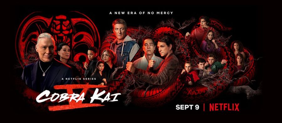 Cobra Kai season 5 dropped on Netflix September 8th 2022.