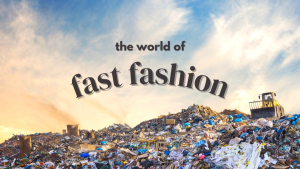 Although participating in fashion trends is fun at the time, 84% of clothing ends up in landfills. 