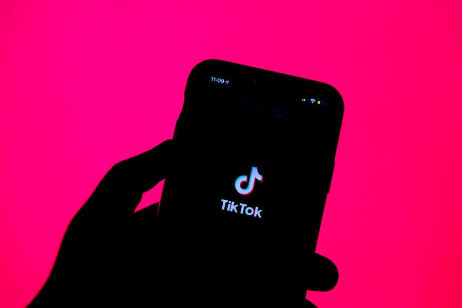 TikTok influencers are not what what they once were, though some have found the path to lasting success.