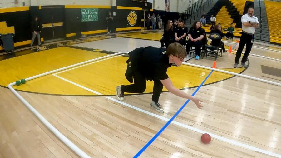 Tiger Bocce