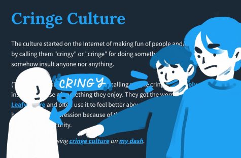 GamerGate and its subsequent culture wars are excellent case studies of how cringe culture flourishes on the internet. 