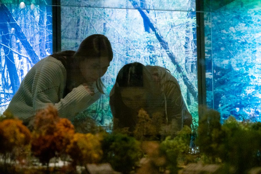 Natalie Rees and Michelle Foster viewing the diorama of an indigenous village through the four seasons.