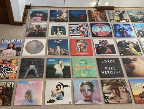 Vinyl is super in right now, and many people have a collection that can cost up to hundreds of dollars.
