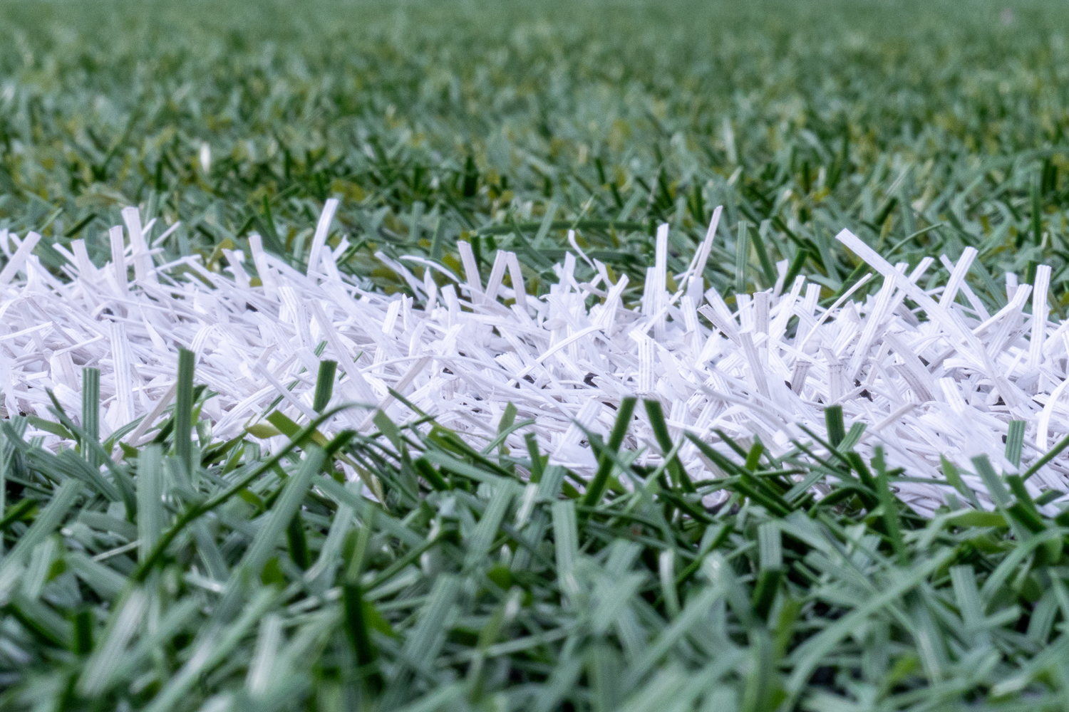 Artificial turf at Newman Stadium