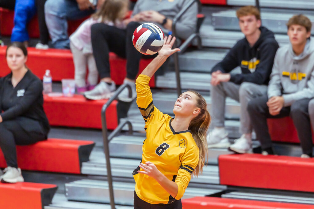 Kyra Schmidt (8) of North Allegheny serves in the 4A Girls Volleyball championship against of Canon-McMillan on Saturday Nov. 04, 2023 at Peters Township High School in McMurray. (JJ LaBella/For the Post-Gazette)
