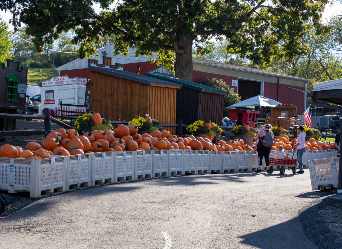 Family-owned Soergel Orchards is a local favorite for North Allegheny families, especially during the fall.