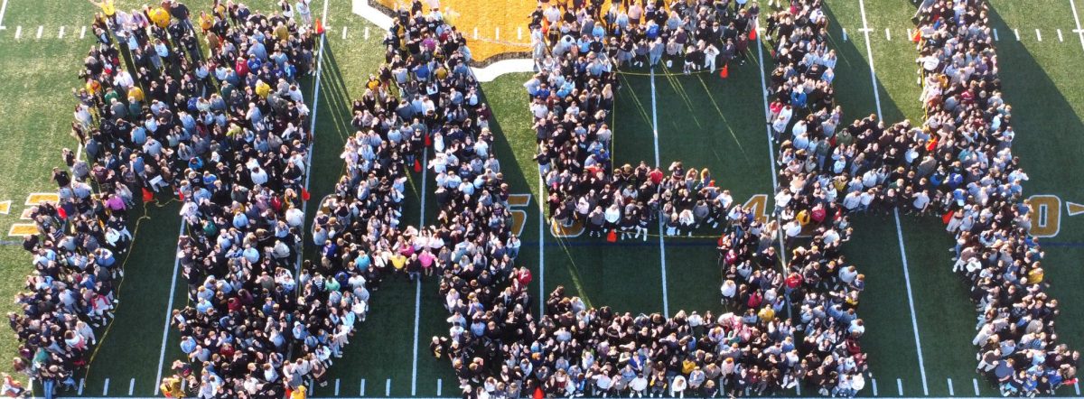 Up Close & Up High: NASH School-Wide Photo