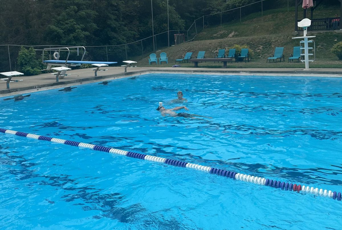Brook Park Swim Club in Franklin Park (photo credit: Katherine Vales)