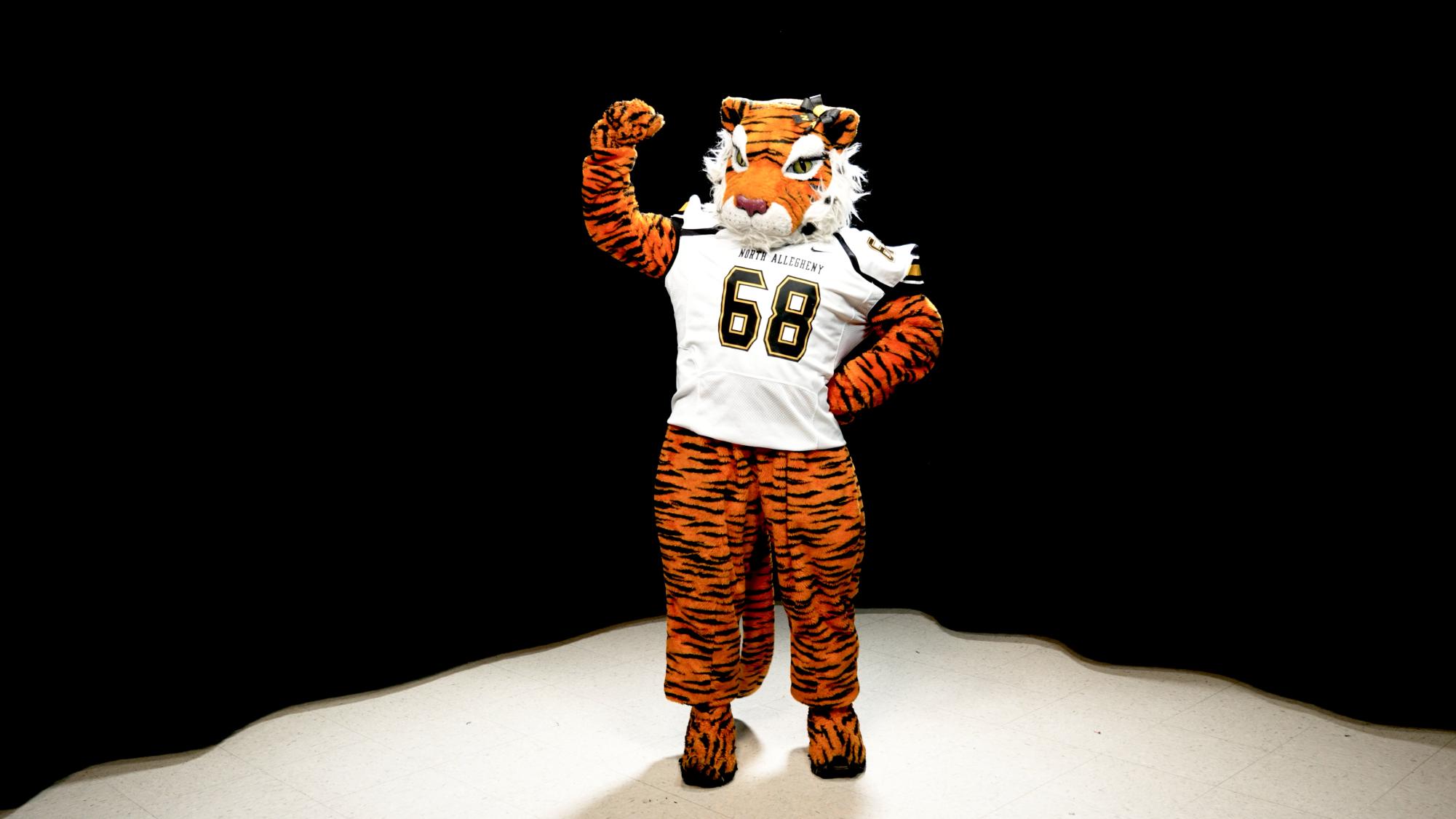 Tiger Mascot Training 101