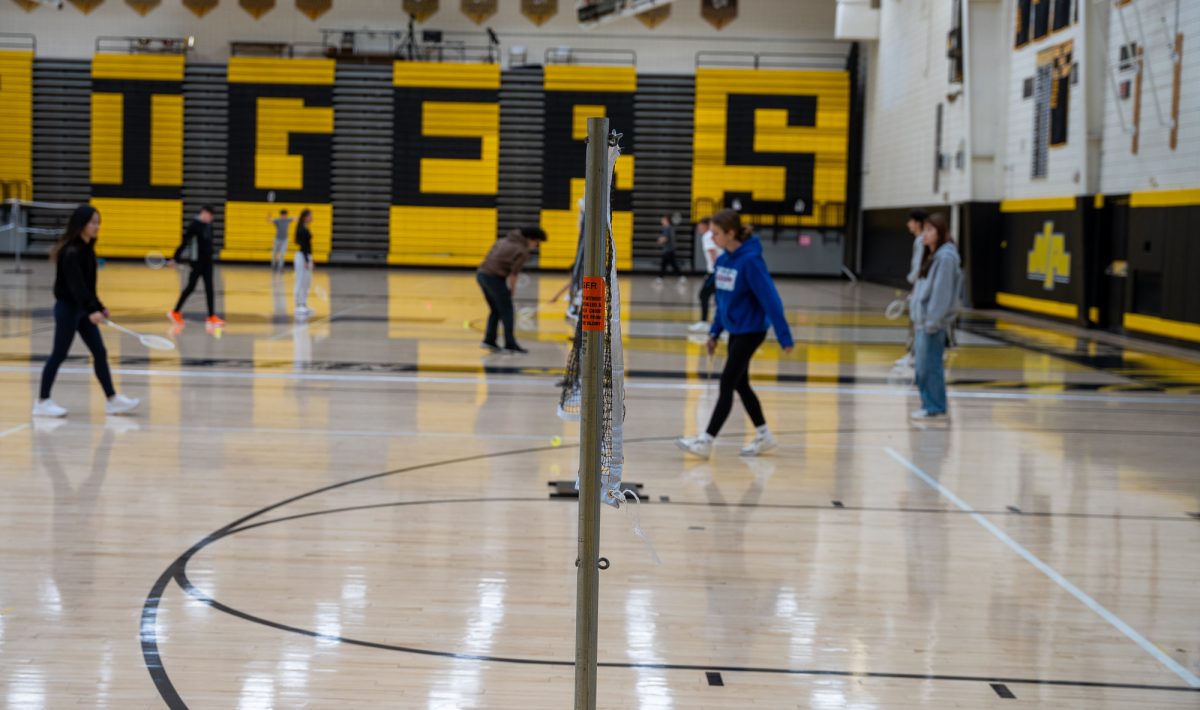 Opinion: Open Gym?