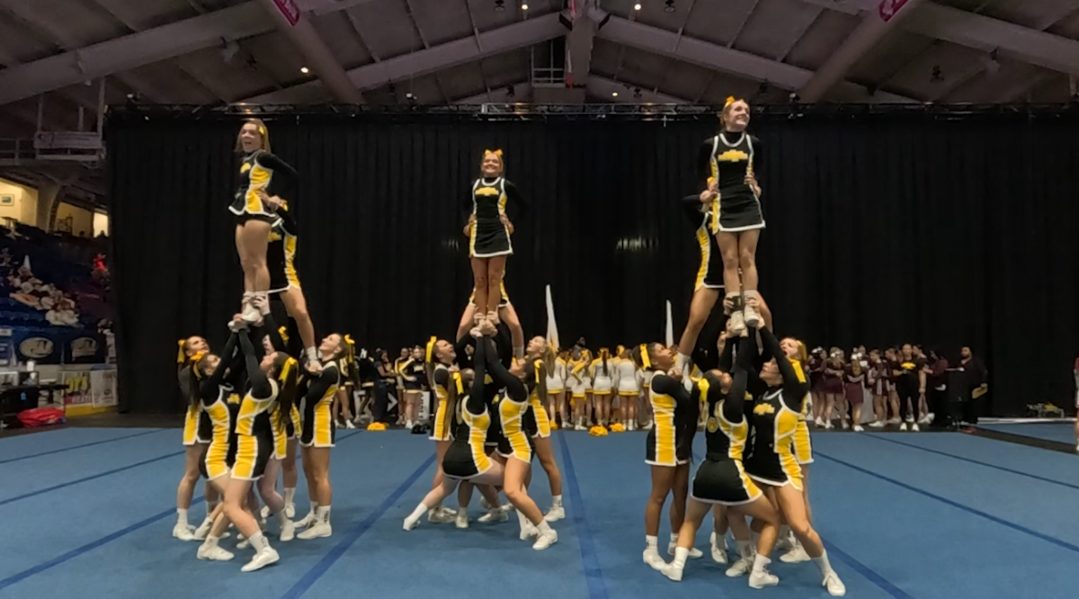 Tigers Roar as Top Four